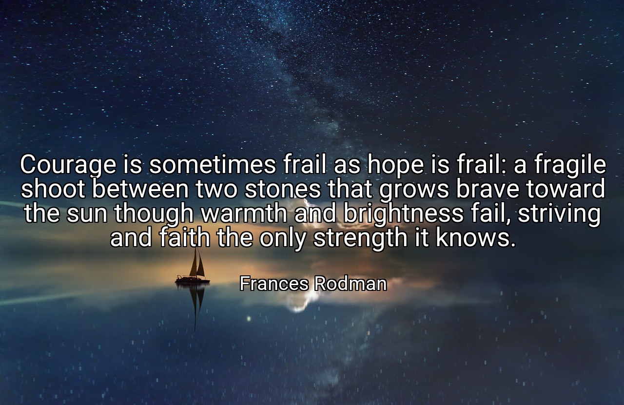 Courage is sometimes frail as hope is frail: a fragile shoot between two stones that grows brave toward the sun though warmth and brightness fail, striving and faith the only strength it knows. - Frances Rodman