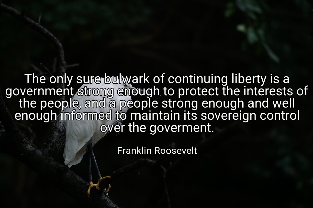 The only sure bulwark of continuing liberty is a government strong enough to protect the interests of the people, and a people strong enough and well enough informed to maintain its sovereign control over the goverment. - Franklin Roosevelt