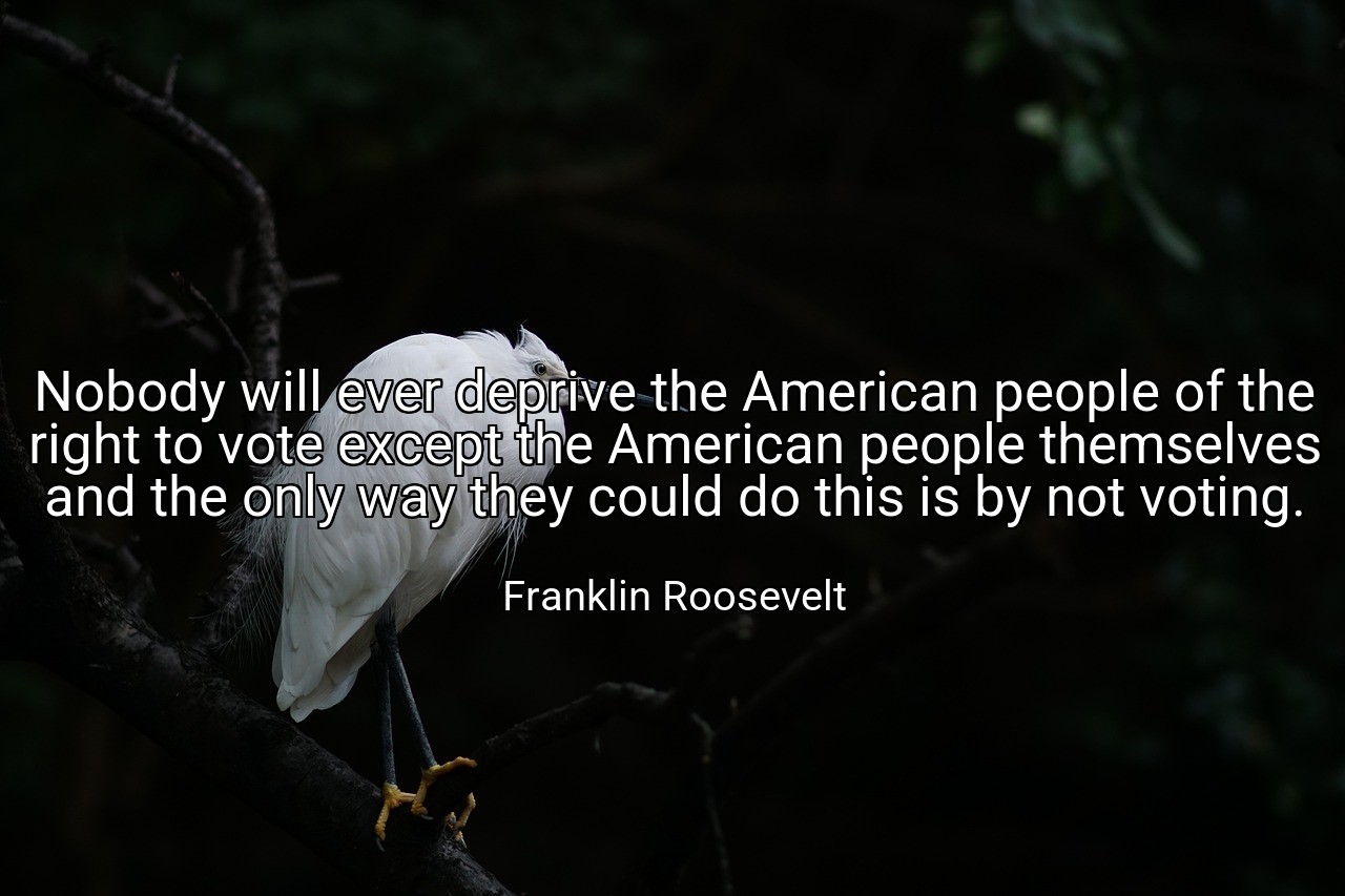 Nobody will ever deprive the American people of the right to vote except the American people themselves and the only way they could do this is by not voting. - Franklin Roosevelt