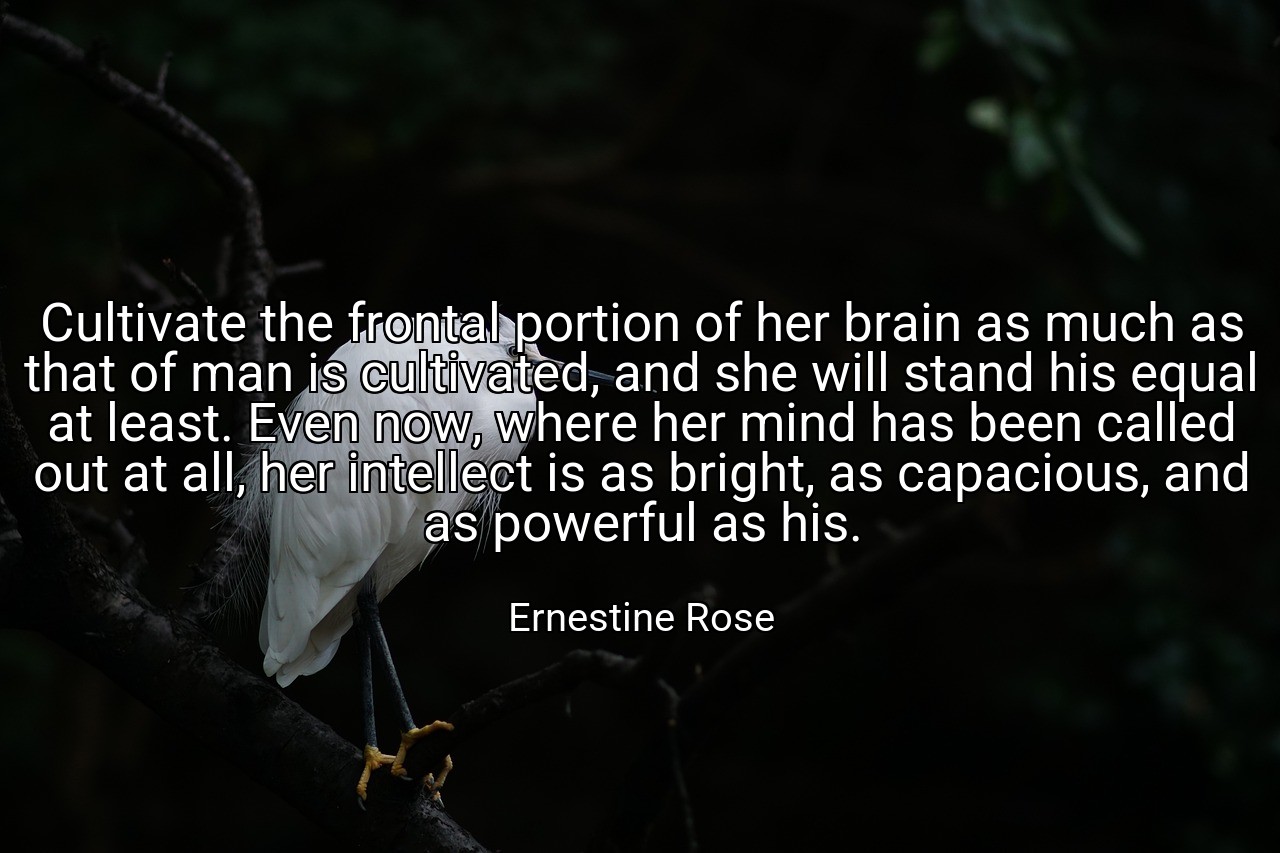 Cultivate the frontal portion of her brain as much as that of man is cultivated, and she will stand his equal at least. Even now, where her mind has been called out at all, her intellect is as bright, as capacious, and as powerful as his. - Ernestine Rose