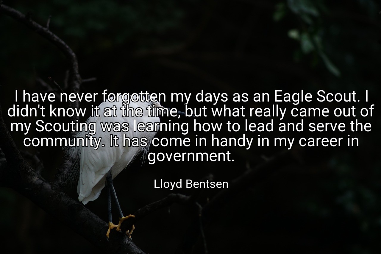 I have never forgotten my days as an Eagle Scout. I didn't know it at the time, but what really came out of my Scouting was learning how to lead and serve the community. It has come in handy in my career in government. - Lloyd Bentsen