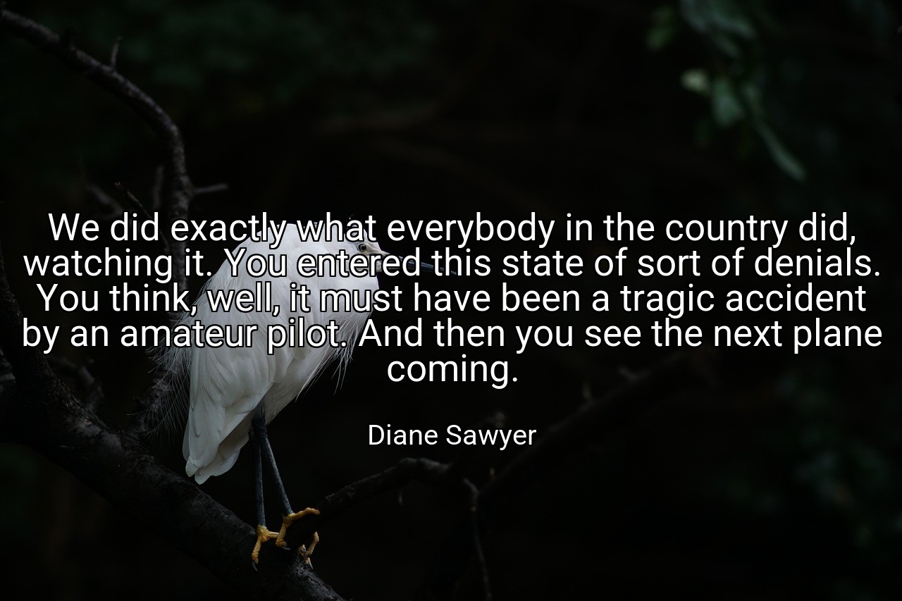 We did exactly what everybody in the country did, watching it. You entered this state of sort of denials. You think, well, it must have been a tragic accident by an amateur pilot. And then you see the next plane coming. - Diane Sawyer