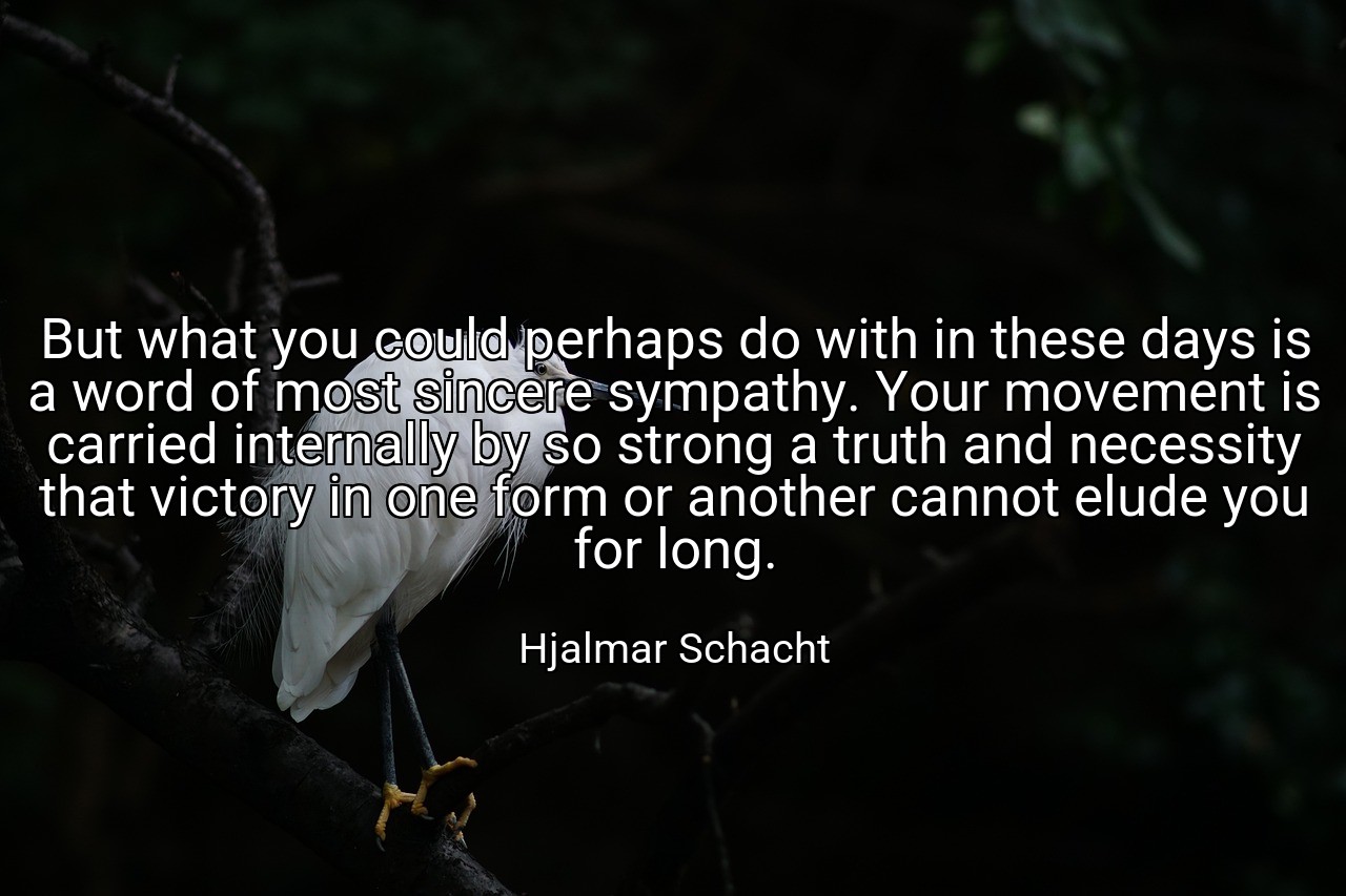 But what you could perhaps do with in these days is a word of most sincere sympathy. Your movement is carried internally by so strong a truth and necessity that victory in one form or another cannot elude you for long. - Hjalmar Schacht