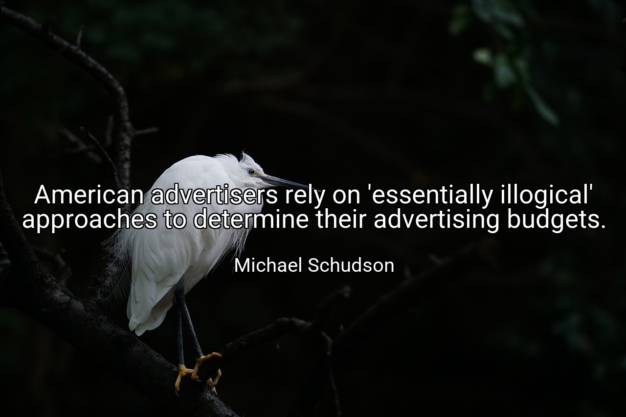 American advertisers rely on 'essentially illogical' approaches to determine their advertising budgets. - Michael Schudson