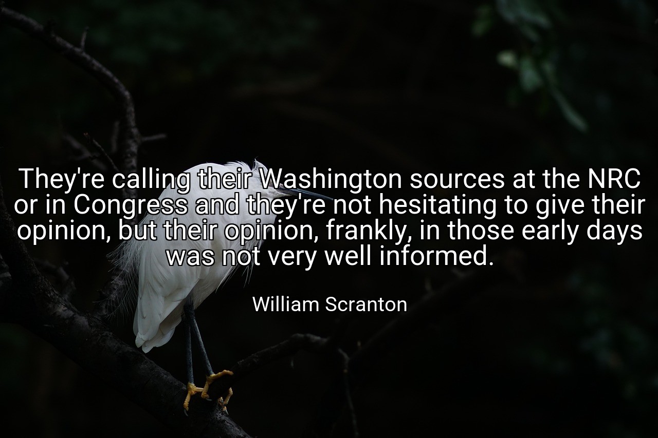 They're calling their Washington sources at the NRC or in Congress and they're not hesitating to give their opinion, but their opinion, frankly, in those early days was not very well informed. - William Scranton