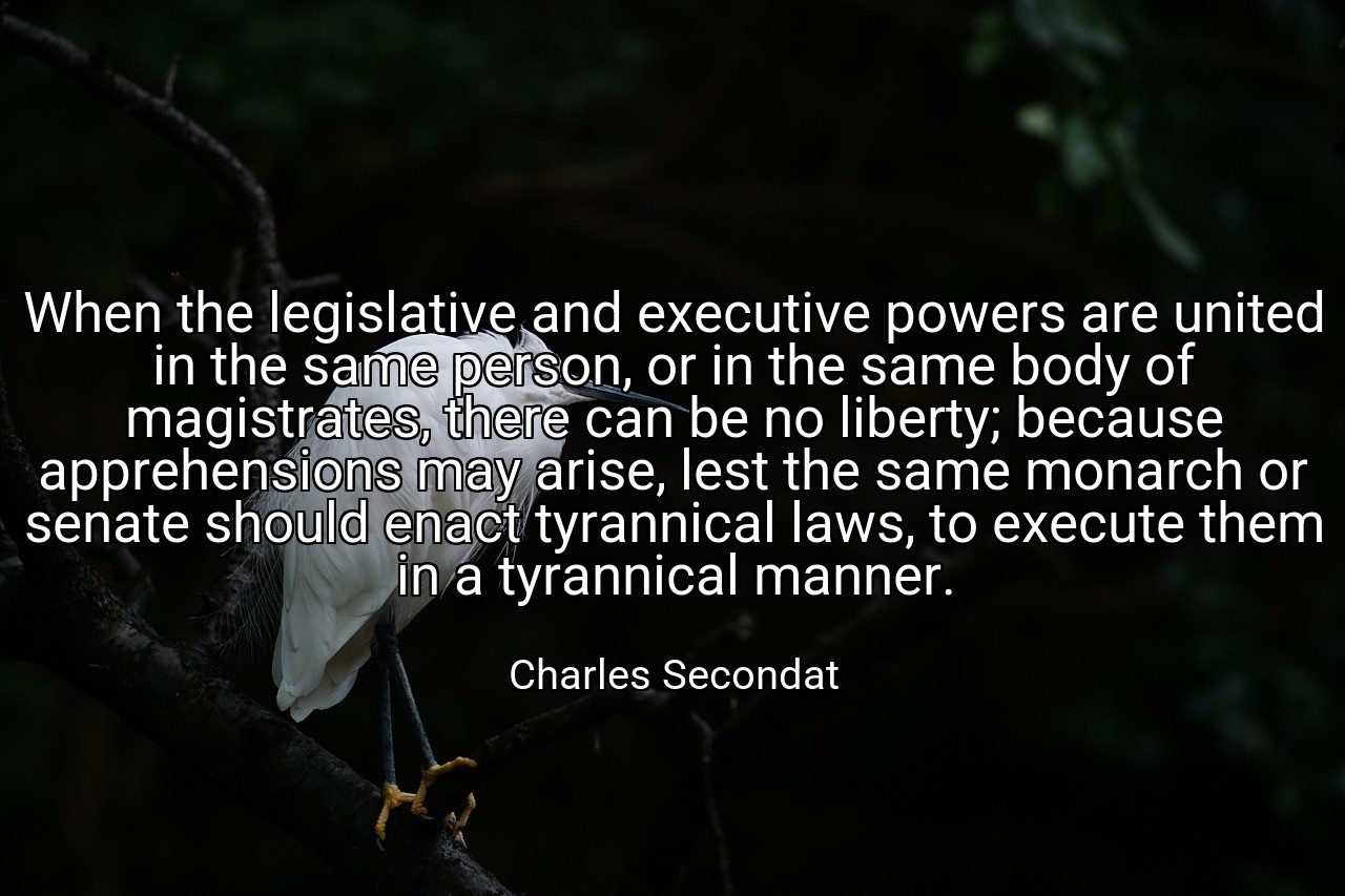 When the legislative and executive powers are united in the same person, or in the same body of magistrates, there can be no liberty; because apprehensions may arise, lest the same monarch or senate should enact tyrannical laws, to execute them in a tyrannical manner. - Charles Secondat