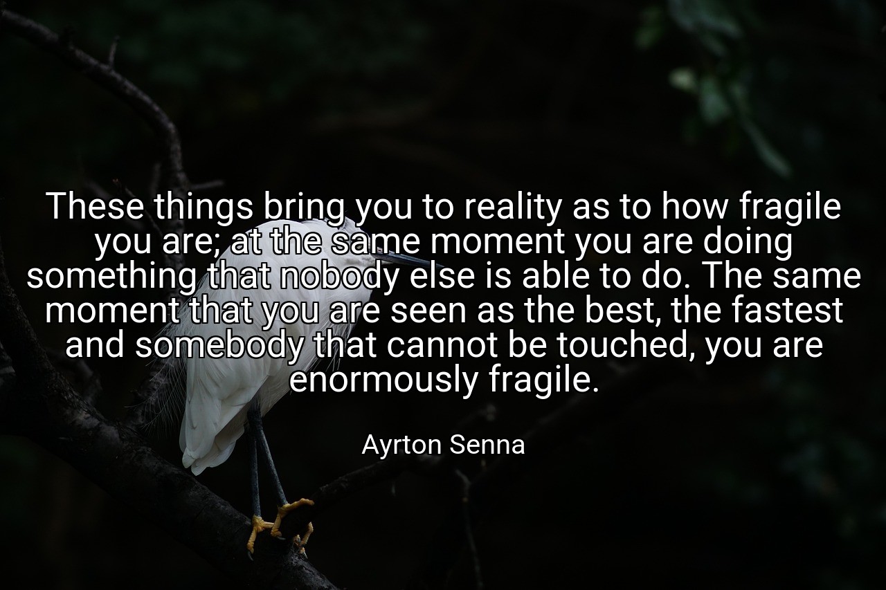 These things bring you to reality as to how fragile you are; at the same moment you are doing something that nobody else is able to do. The same moment that you are seen as the best, the fastest and somebody that cannot be touched, you are enormously fragile. - Ayrton Senna