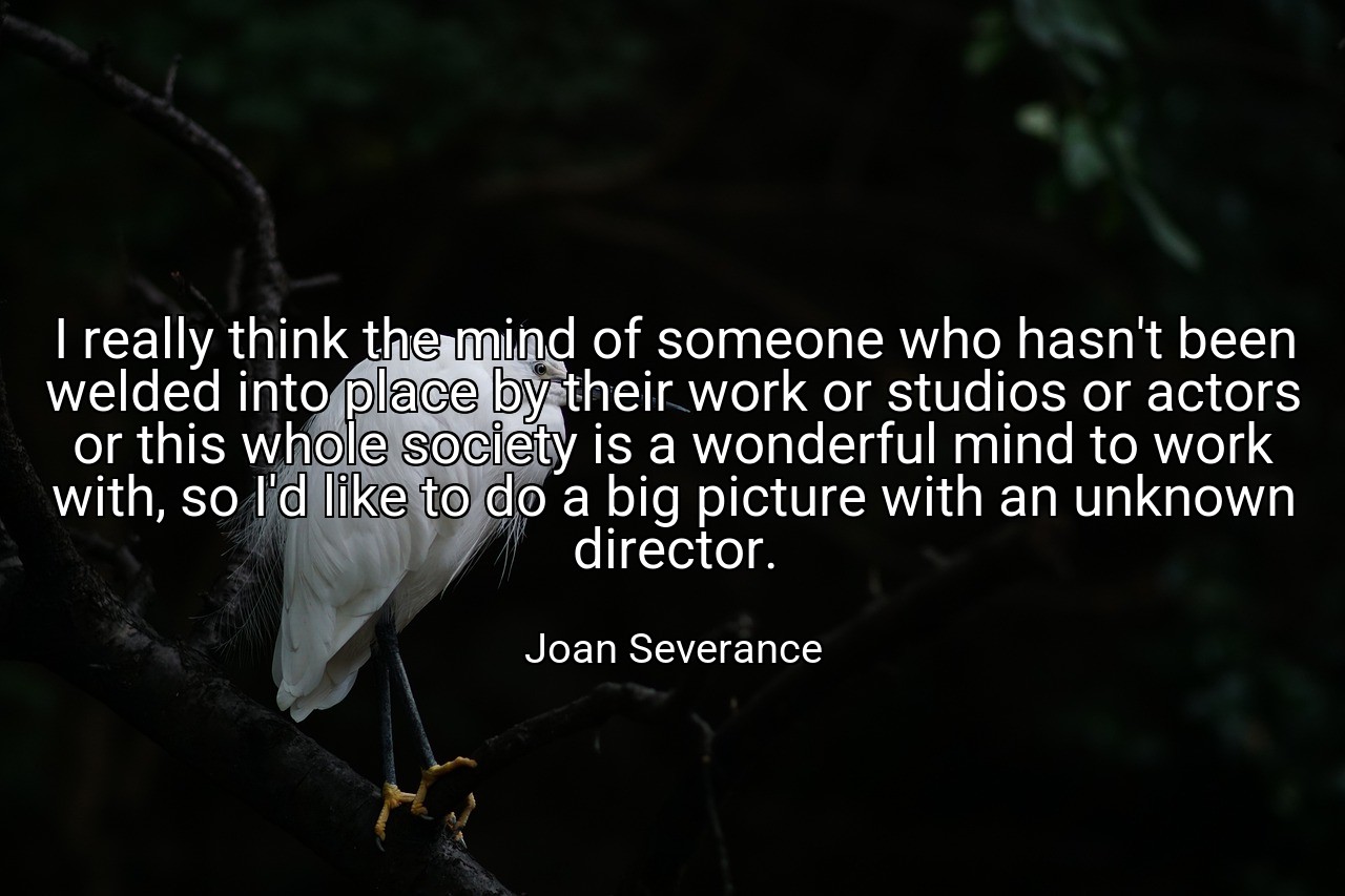 I really think the mind of someone who hasn't been welded into place by their work or studios or actors or this whole society is a wonderful mind to work with, so I'd like to do a big picture with an unknown director. - Joan Severance