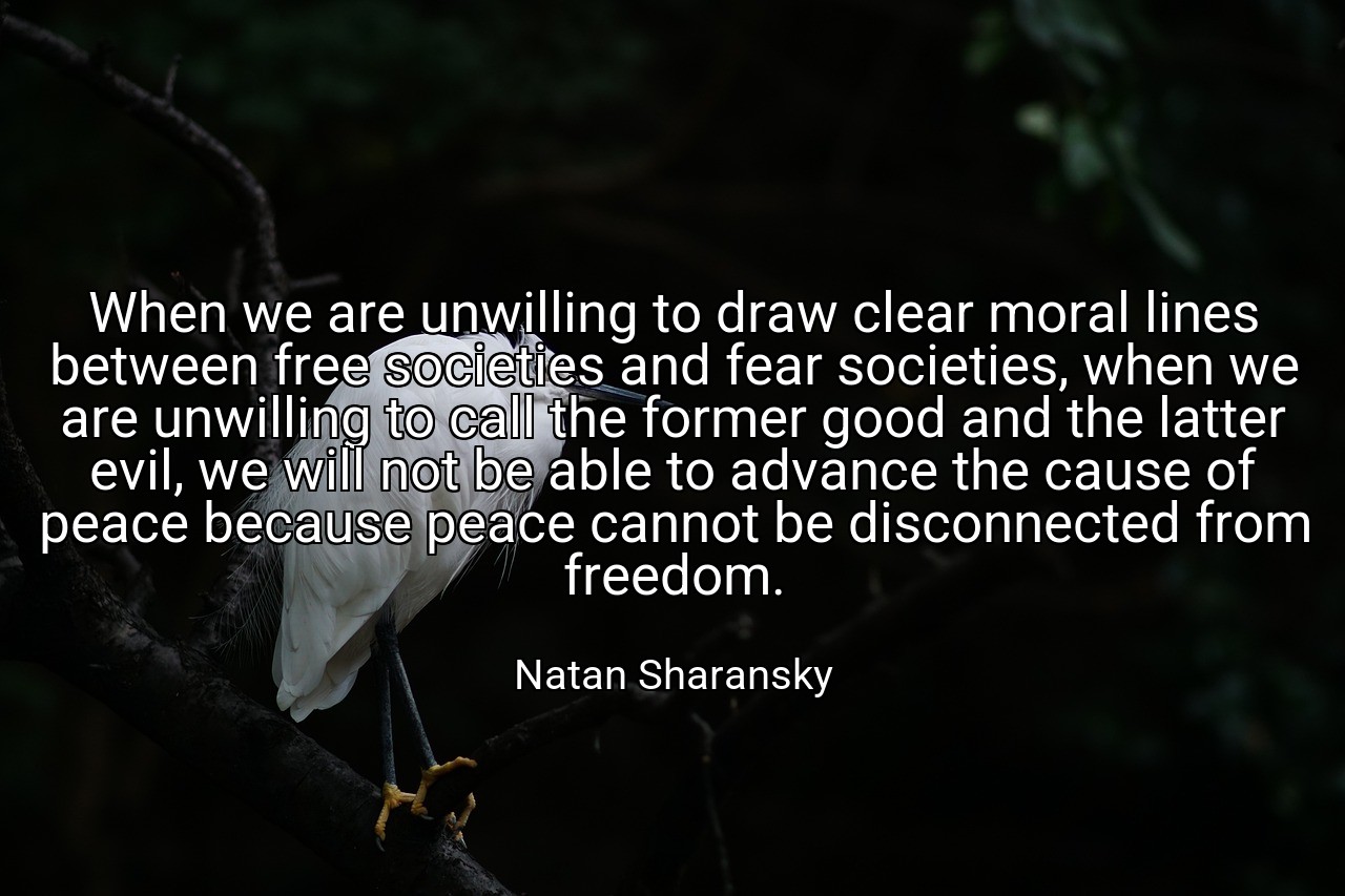 When we are unwilling to draw clear moral lines between free societies and fear societies, when we are unwilling to call the former good and the latter evil, we will not be able to advance the cause of peace because peace cannot be disconnected from freedom. - Natan Sharansky