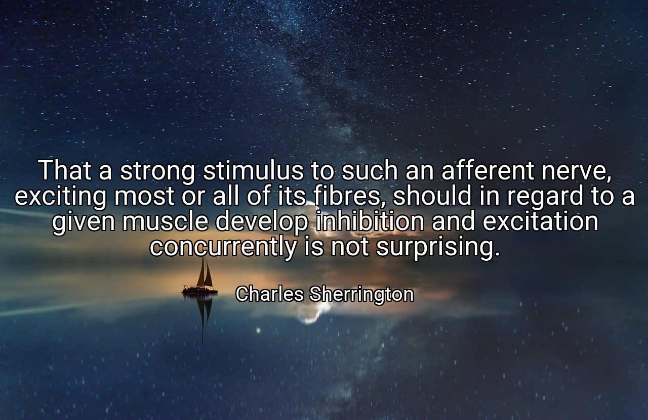 That a strong stimulus to such an afferent nerve, exciting most or all of its fibres, should in regard to a given muscle develop inhibition and excitation concurrently is not surprising. - Charles Sherrington