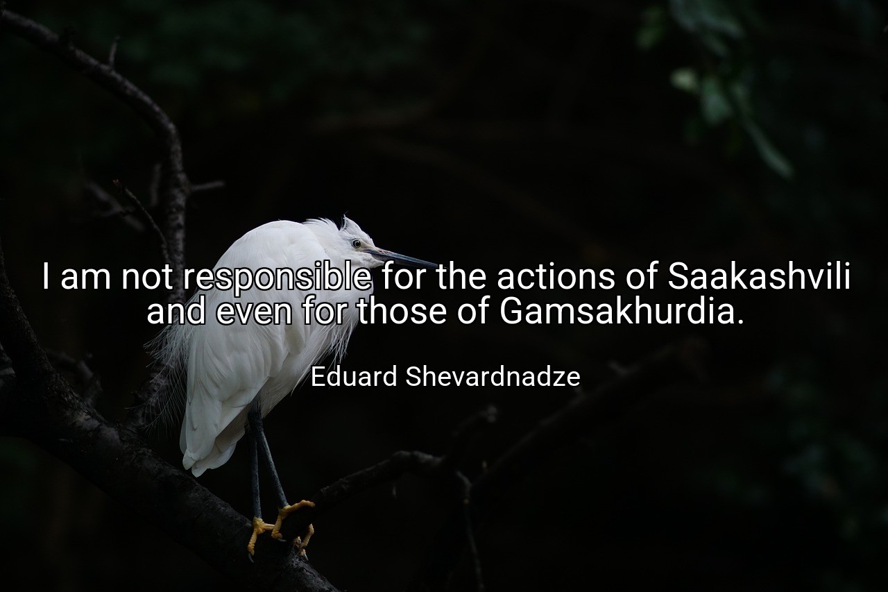 I am not responsible for the actions of Saakashvili and even for those of Gamsakhurdia. - Eduard Shevardnadze