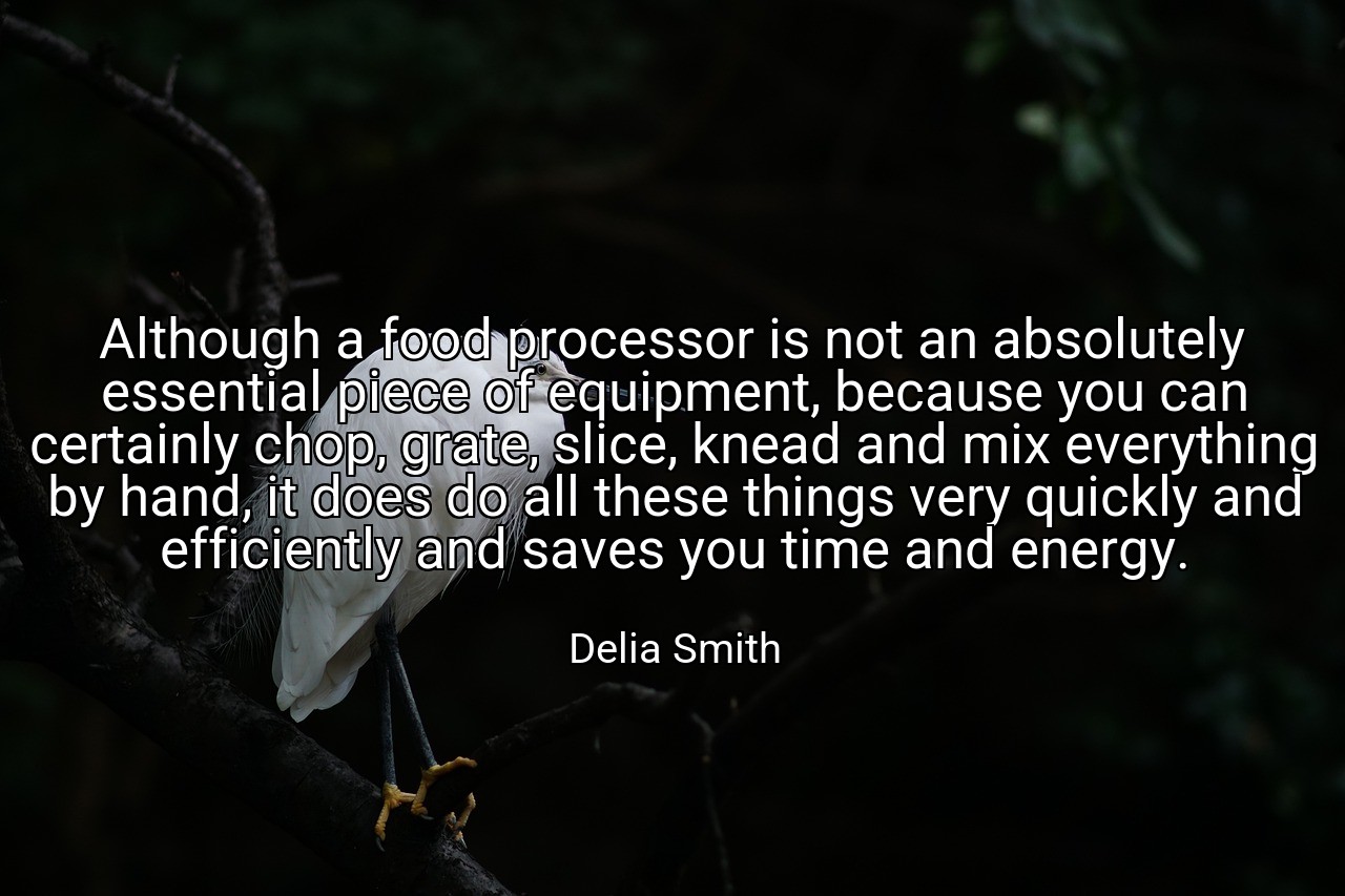 Although a food processor is not an absolutely essential piece of equipment, because you can certainly chop, grate, slice, knead and mix everything by hand, it does do all these things very quickly and efficiently and saves you time and energy. - Delia Smith