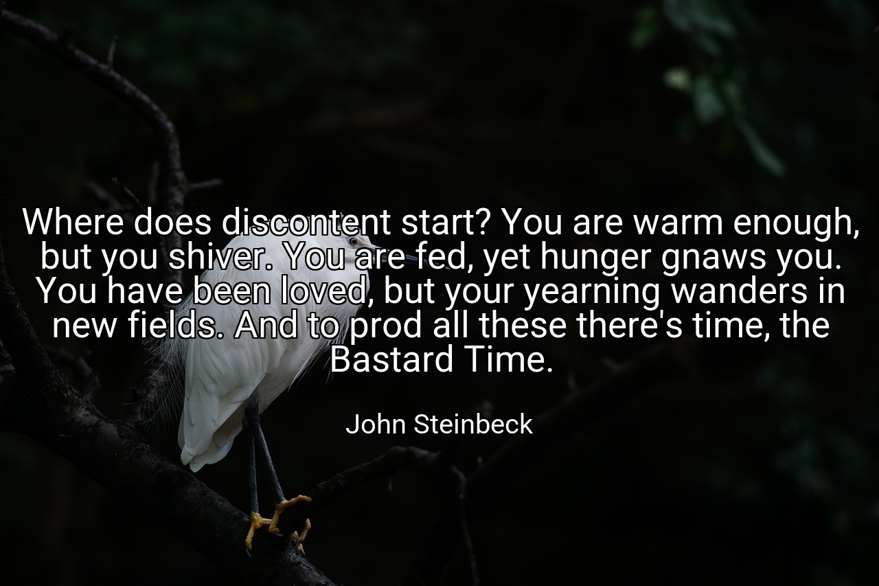 Where does discontent start? You are warm enough, but you shiver. You are fed, yet hunger gnaws you. You have been loved, but your yearning wanders in new fields. And to prod all these there's time, the Bastard Time. - John Steinbeck