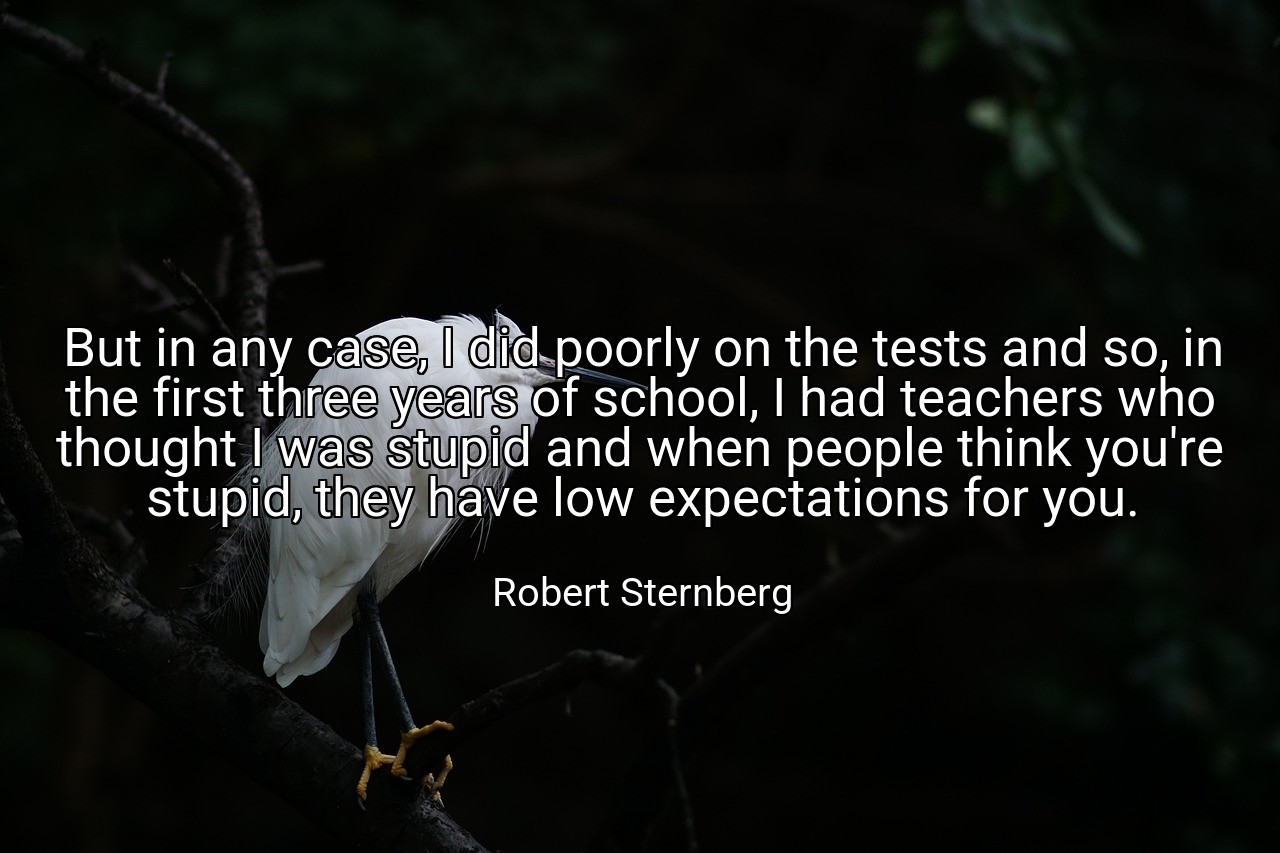But in any case, I did poorly on the tests and so, in the first three years of school, I had teachers who thought I was stupid and when people think you're stupid, they have low expectations for you. - Robert Sternberg