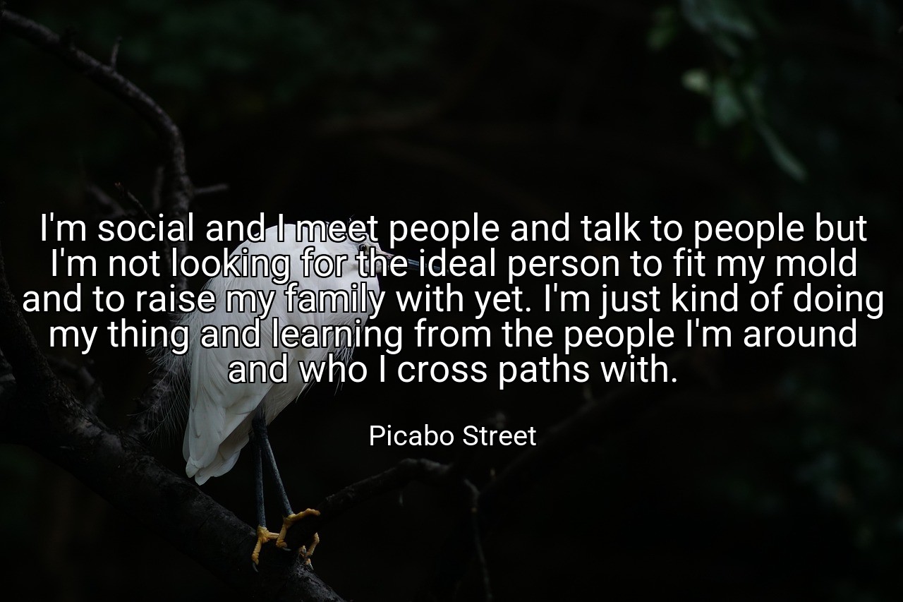 I'm social and I meet people and talk to people but I'm not looking for the ideal person to fit my mold and to raise my family with yet. I'm just kind of doing my thing and learning from the people I'm around and who I cross paths with. - Picabo Street