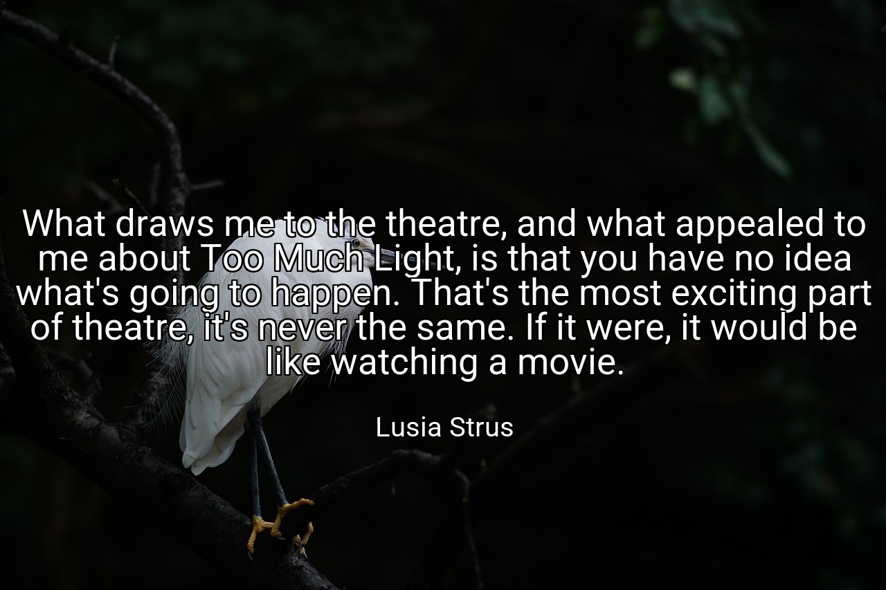What draws me to the theatre, and what appealed to me about Too Much Light, is that you have no idea what's going to happen. That's the most exciting part of theatre, it's never the same. If it were, it would be like watching a movie. - Lusia Strus