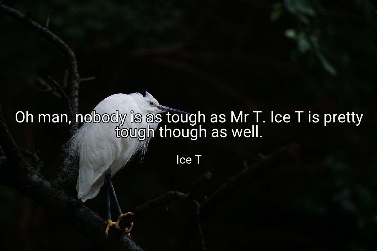 Oh man, nobody is as tough as Mr T. Ice T is pretty tough though as well. - Ice T