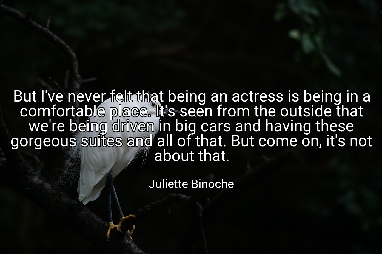 But I've never felt that being an actress is being in a comfortable place. It's seen from the outside that we're being driven in big cars and having these gorgeous suites and all of that. But come on, it's not about that. - Juliette Binoche