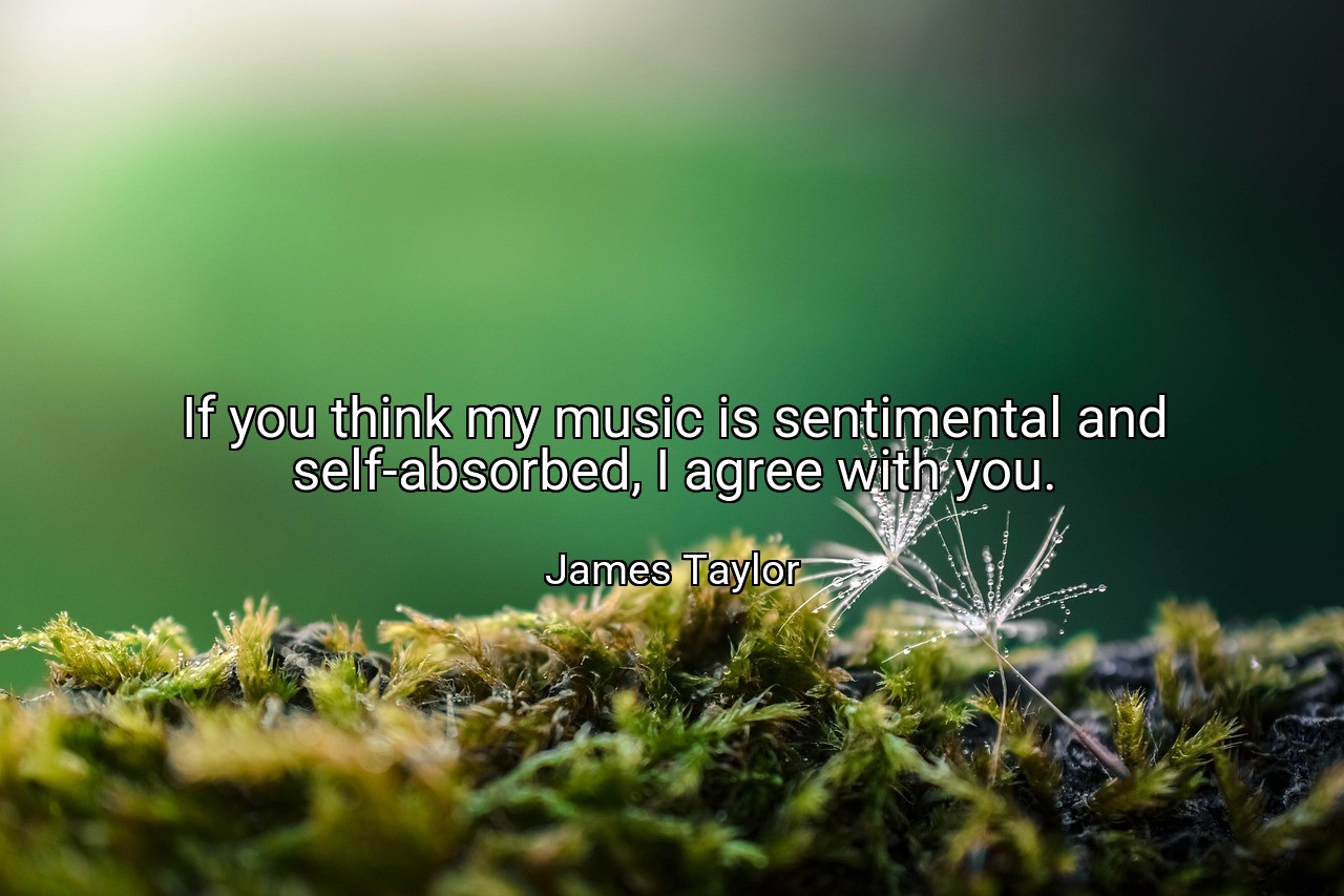 If you think my music is sentimental and self-absorbed, I agree with you. - James Taylor