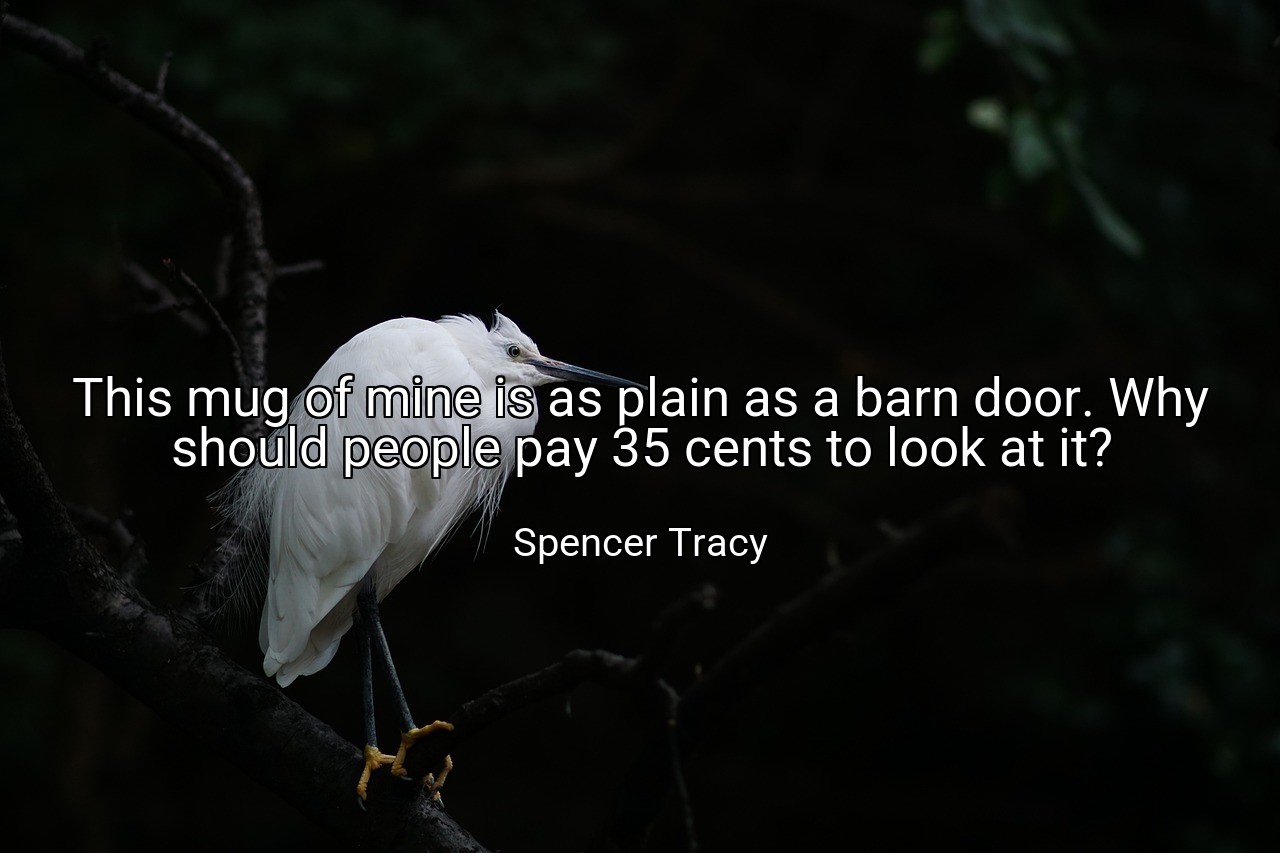 This mug of mine is as plain as a barn door. Why should people pay 35 cents to look at it? - Spencer Tracy