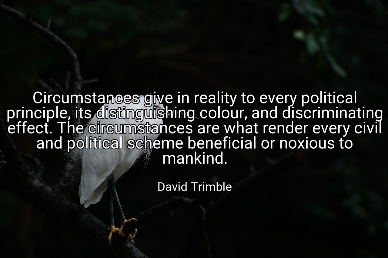Circumstances give in reality to every political principle, its distinguishing colour, and discriminating effect. The circumstances are what render every civil and political scheme beneficial or noxious to mankind. - David Trimble