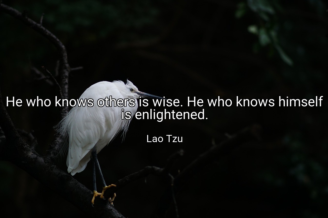 He who knows others is wise. He who knows himself is enlightened. - Lao Tzu