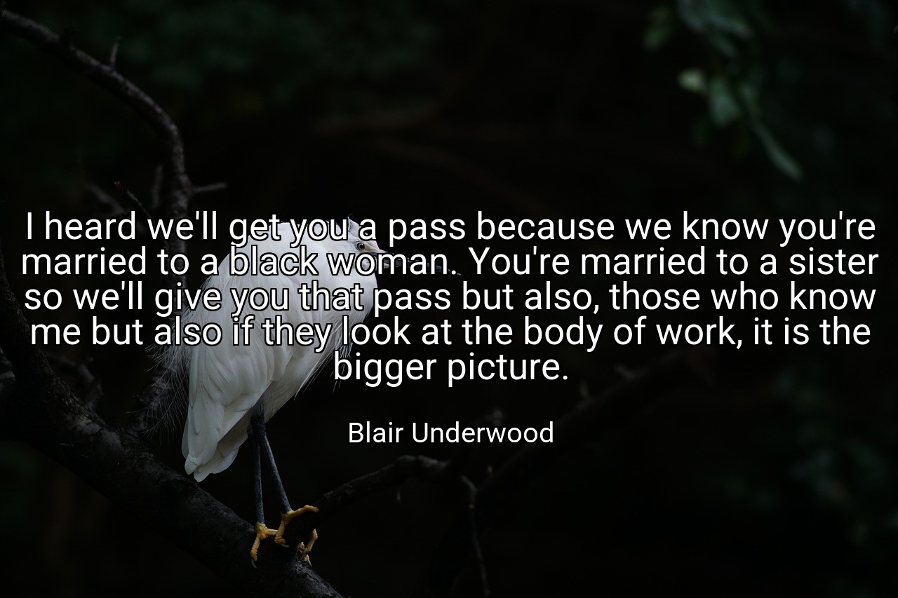 I heard we'll get you a pass because we know you're married to a black woman. You're married to a sister so we'll give you that pass but also, those who know me but also if they look at the body of work, it is the bigger picture. - Blair Underwood