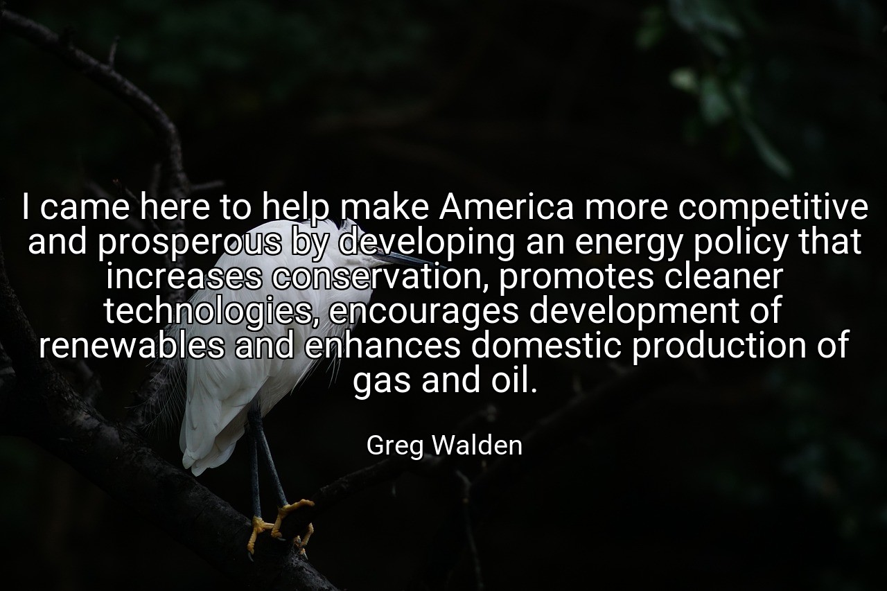 I came here to help make America more competitive and prosperous by developing an energy policy that increases conservation, promotes cleaner technologies, encourages development of renewables and enhances domestic production of gas and oil. - Greg Walden