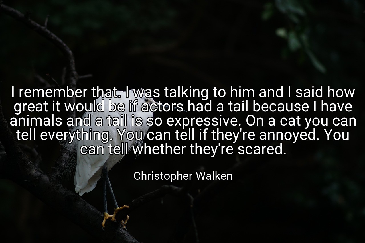 I remember that. I was talking to him and I said how great it would be if actors had a tail because I have animals and a tail is so expressive. On a cat you can tell everything. You can tell if they're annoyed. You can tell whether they're scared. - Christopher Walken