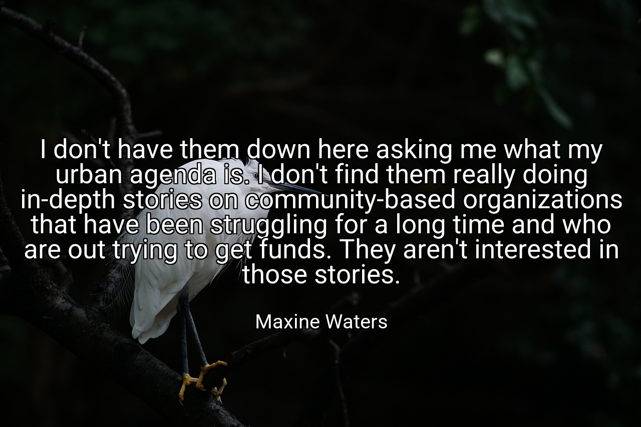 I don't have them down here asking me what my urban agenda is. I don't find them really doing in-depth stories on community-based organizations that have been struggling for a long time and who are out trying to get funds. They aren't interested in those stories. - Maxine Waters