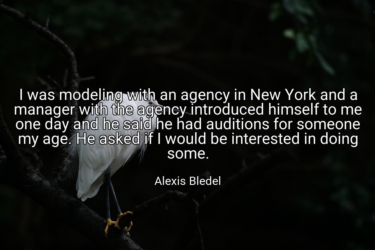 I was modeling with an agency in New York and a manager with the agency introduced himself to me one day and he said he had auditions for someone my age. He asked if I would be interested in doing some. - Alexis Bledel