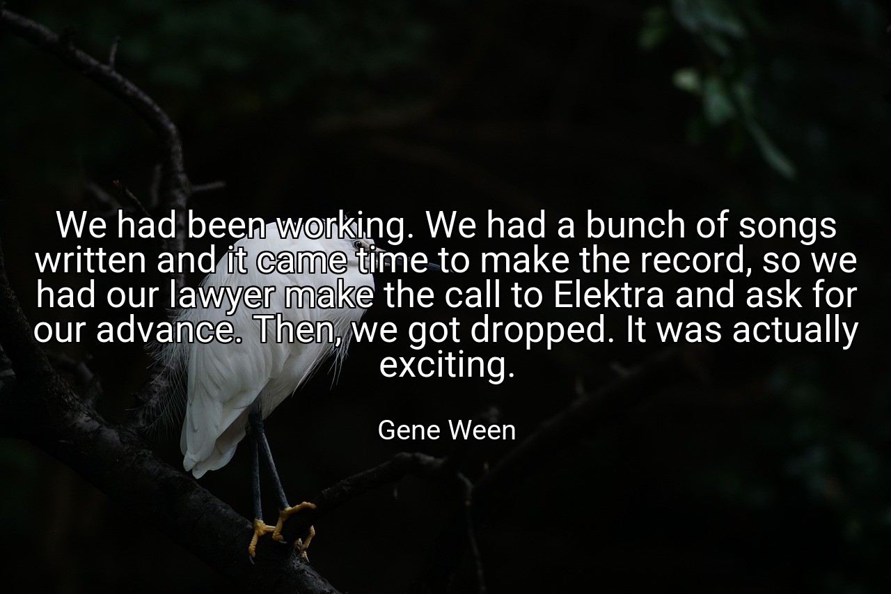 We had been working. We had a bunch of songs written and it came time to make the record, so we had our lawyer make the call to Elektra and ask for our advance. Then, we got dropped. It was actually exciting. - Gene Ween