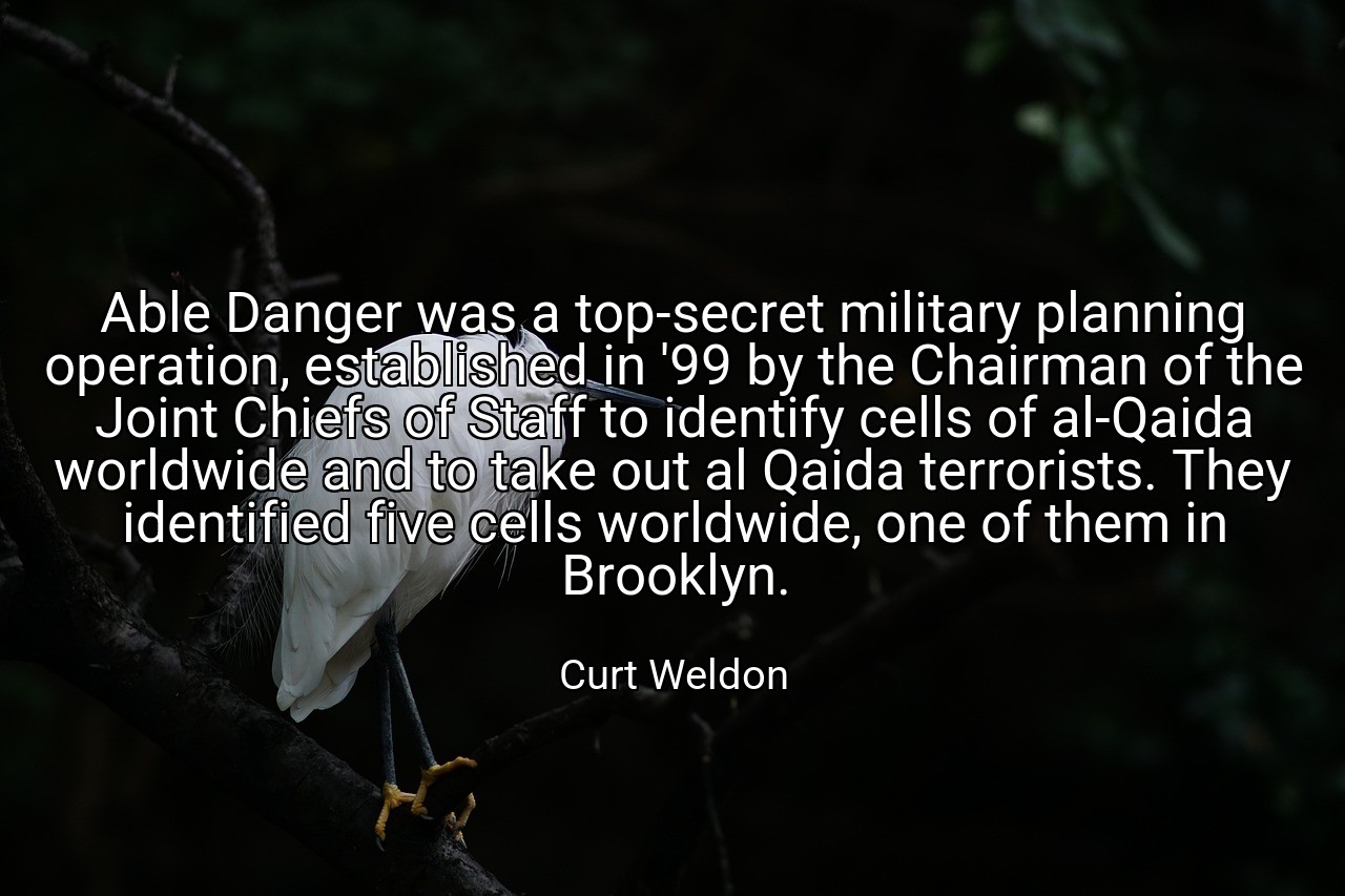 Able Danger was a top-secret military planning operation, established in '99 by the Chairman of the Joint Chiefs of Staff to identify cells of al-Qaida worldwide and to take out al Qaida terrorists. They identified five cells worldwide, one of them in Brooklyn. - Curt Weldon