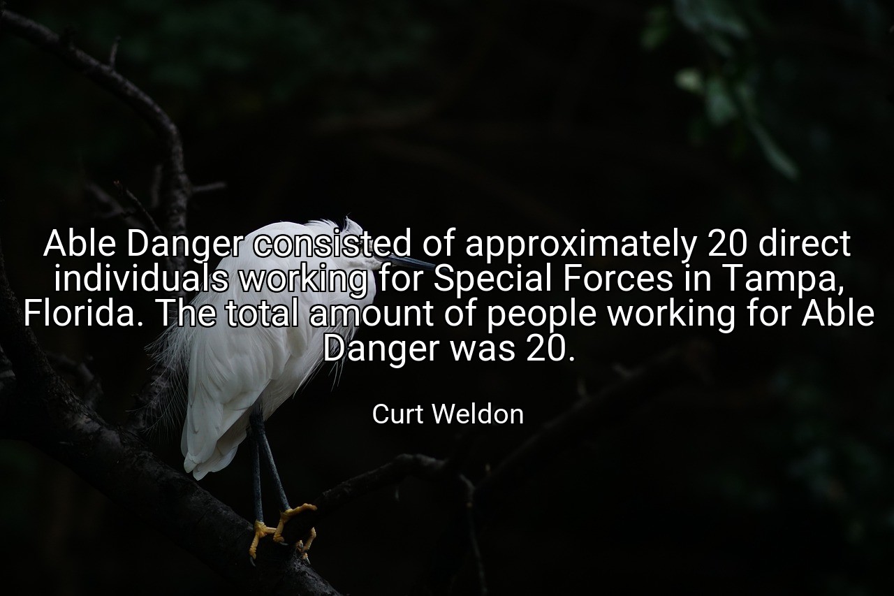 Able Danger consisted of approximately 20 direct individuals working for Special Forces in Tampa, Florida. The total amount of people working for Able Danger was 20. - Curt Weldon