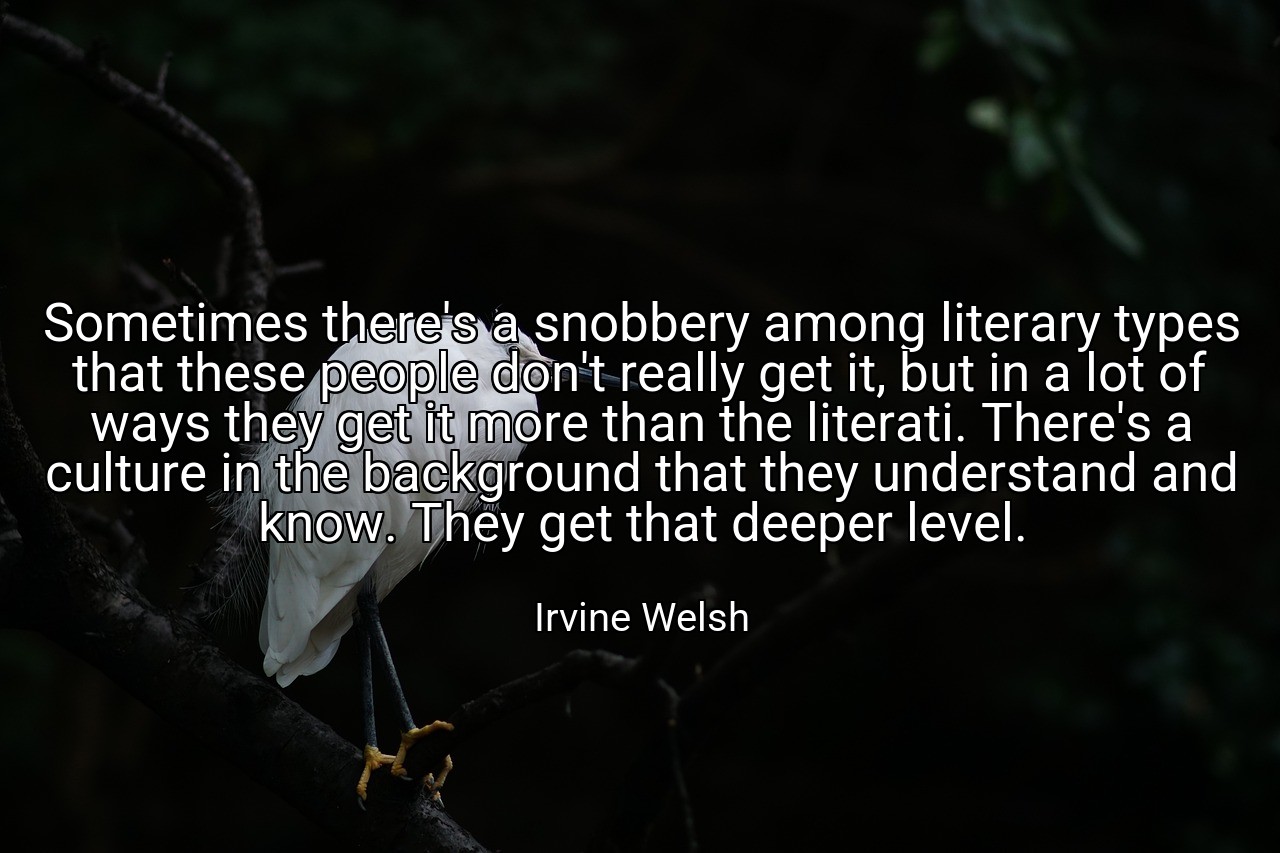 Sometimes there's a snobbery among literary types that these people don't really get it, but in a lot of ways they get it more than the literati. There's a culture in the background that they understand and know. They get that deeper level. - Irvine Welsh