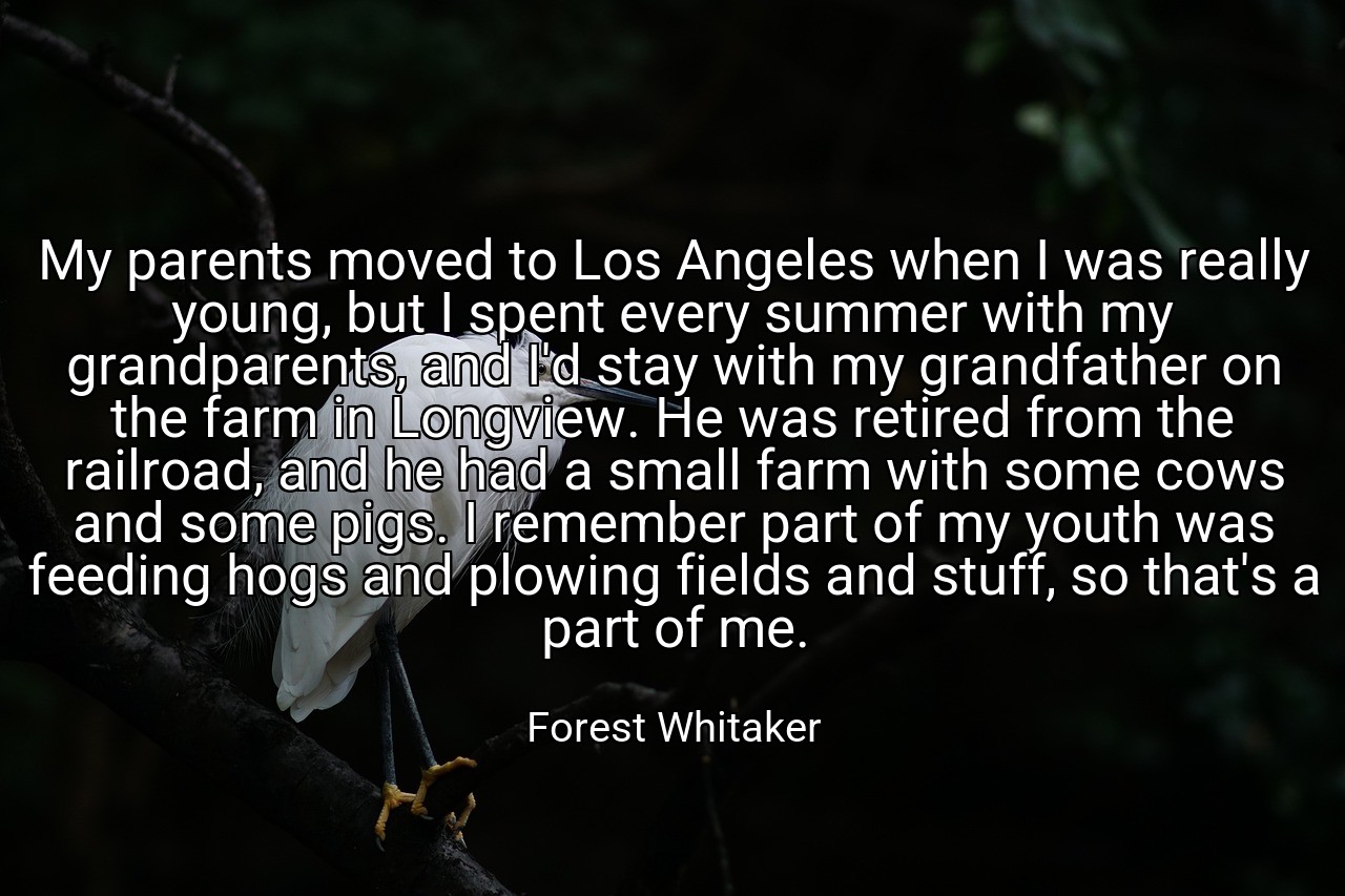 My parents moved to Los Angeles when I was really young, but I spent every summer with my grandparents, and I'd stay with my grandfather on the farm in Longview. He was retired from the railroad, and he had a small farm with some cows and some pigs. I remember part of my youth was feeding hogs and plowing fields and stuff, so that's a part of me. - Forest Whitaker