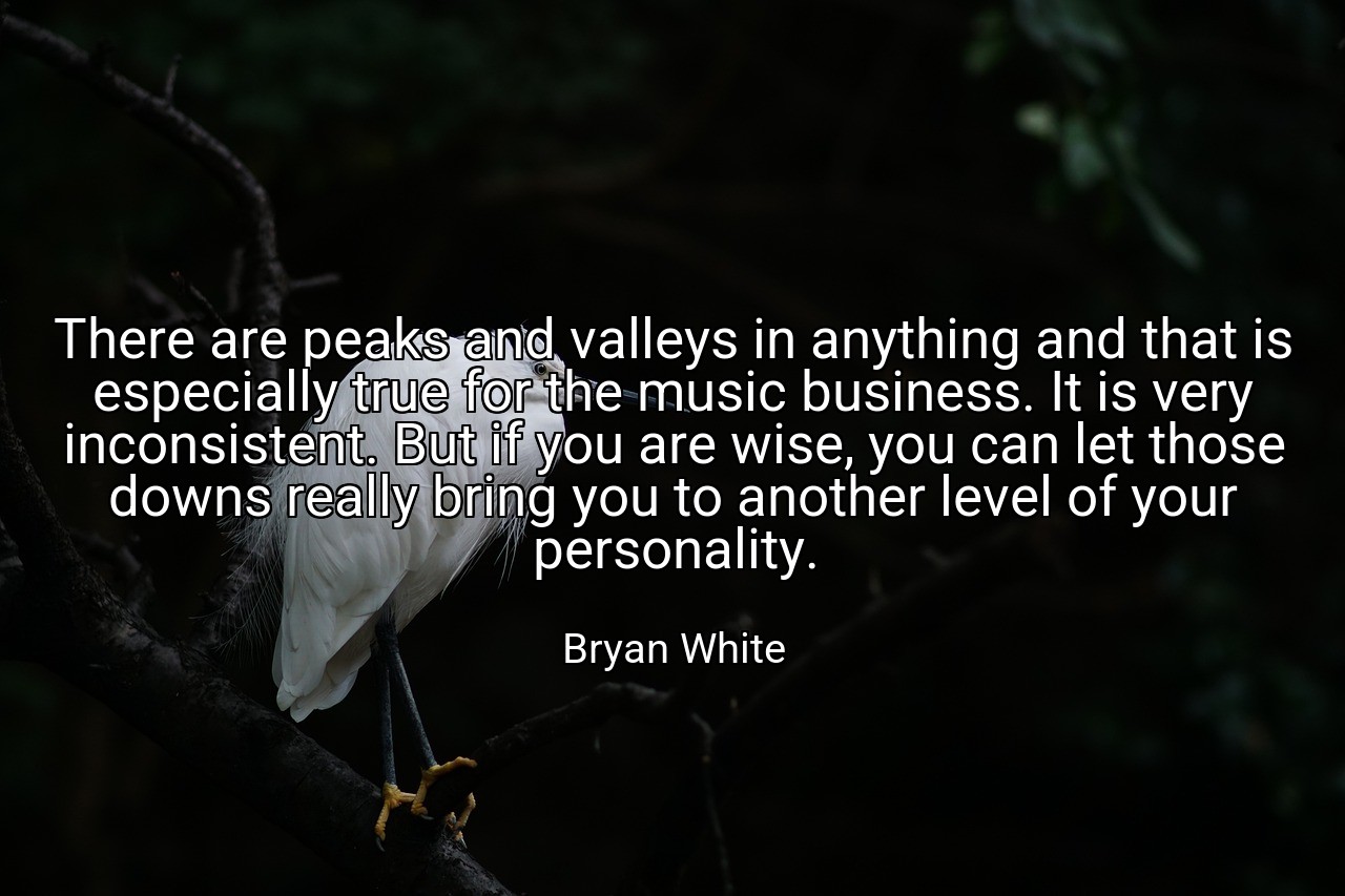 There are peaks and valleys in anything and that is especially true for the music business. It is very inconsistent. But if you are wise, you can let those downs really bring you to another level of your personality. - Bryan White
