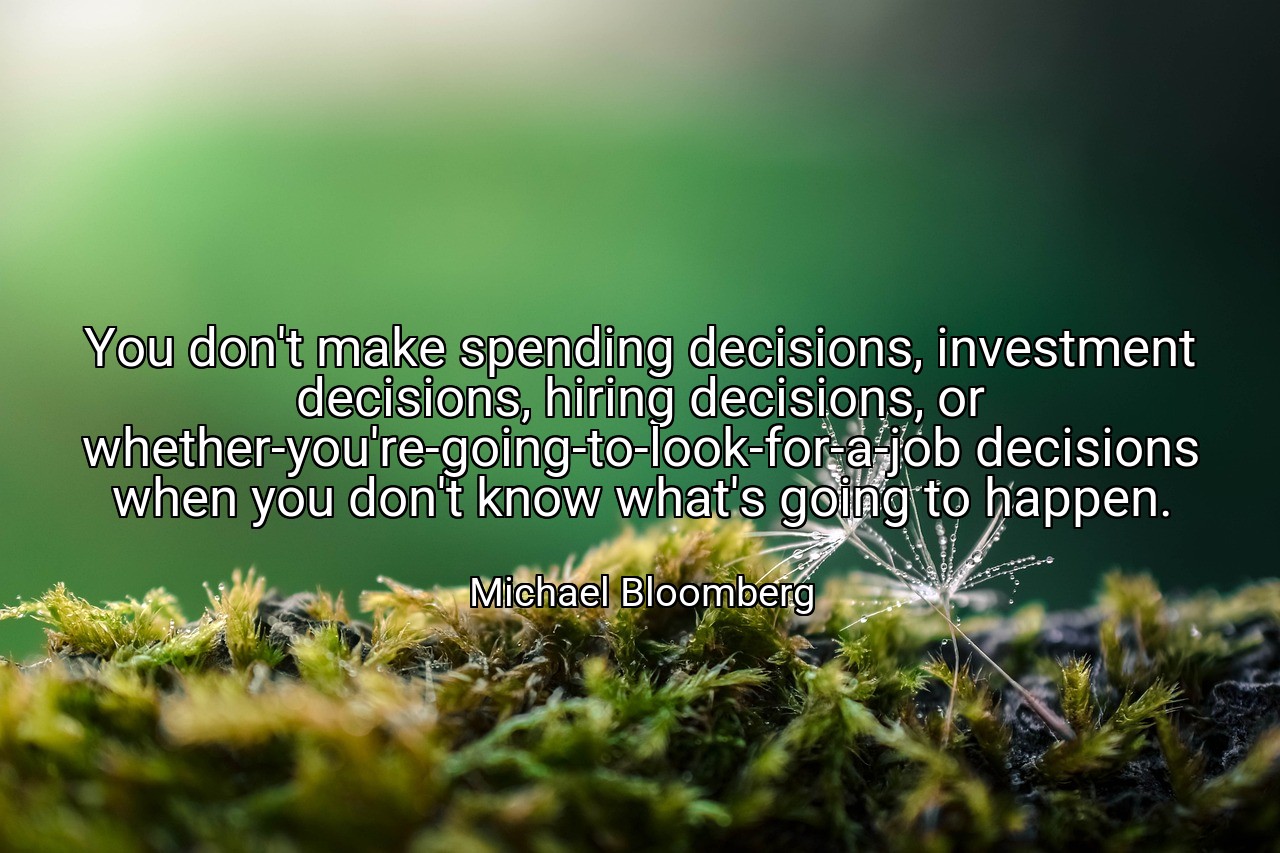 You don't make spending decisions, investment decisions, hiring decisions, or whether-you're-going-to-look-for-a-job decisions when you don't know what's going to happen. - Michael Bloomberg