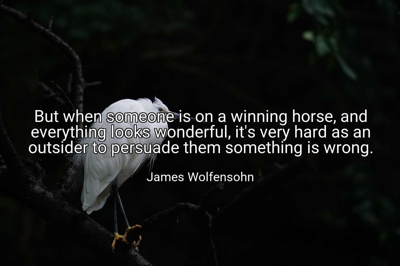 But when someone is on a winning horse, and everything looks wonderful, it's very hard as an outsider to persuade them something is wrong. - James Wolfensohn