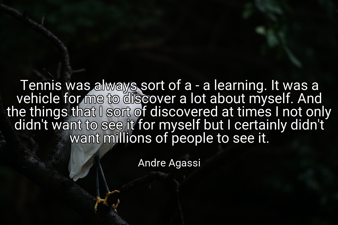 Tennis was always sort of a - a learning. It was a vehicle for me to discover a lot about myself. And the things that I sort of discovered at times I not only didn't want to see it for myself but I certainly didn't want millions of people to see it. - Andre Agassi