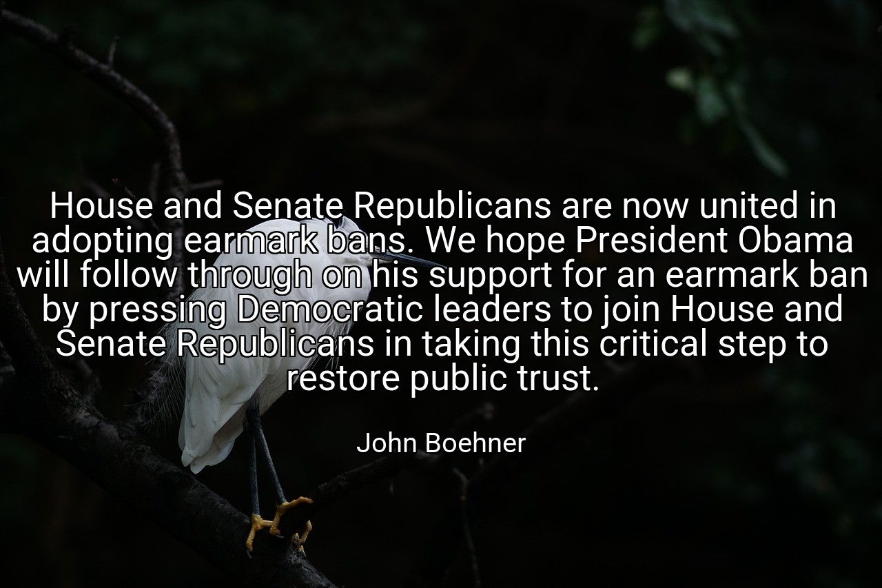 House and Senate Republicans are now united in adopting earmark bans. We hope President Obama will follow through on his support for an earmark ban by pressing Democratic leaders to join House and Senate Republicans in taking this critical step to restore public trust. - John Boehner