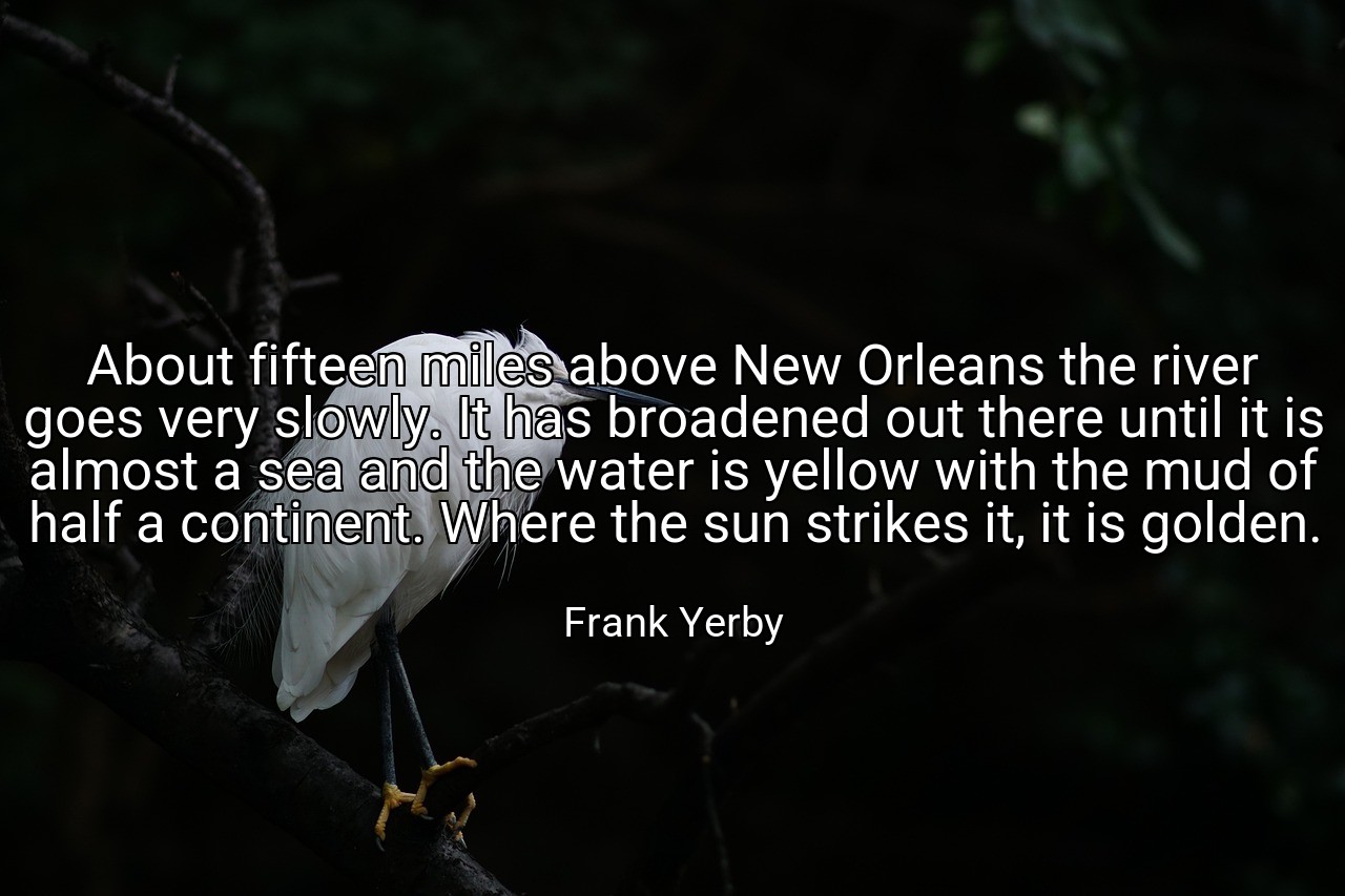 About fifteen miles above New Orleans the river goes very slowly. It has broadened out there until it is almost a sea and the water is yellow with the mud of half a continent. Where the sun strikes it, it is golden. - Frank Yerby