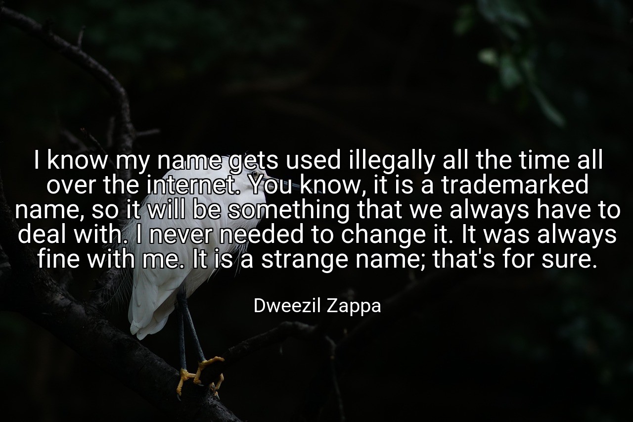 I know my name gets used illegally all the time all over the internet. You know, it is a trademarked name, so it will be something that we always have to deal with. I never needed to change it. It was always fine with me. It is a strange name; that's for sure. - Dweezil Zappa