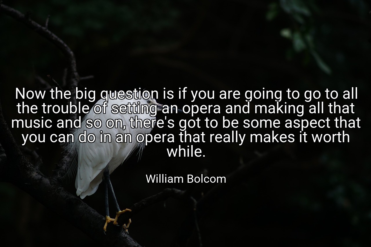 Now the big question is if you are going to go to all the trouble of setting an opera and making all that music and so on, there's got to be some aspect that you can do in an opera that really makes it worth while. - William Bolcom