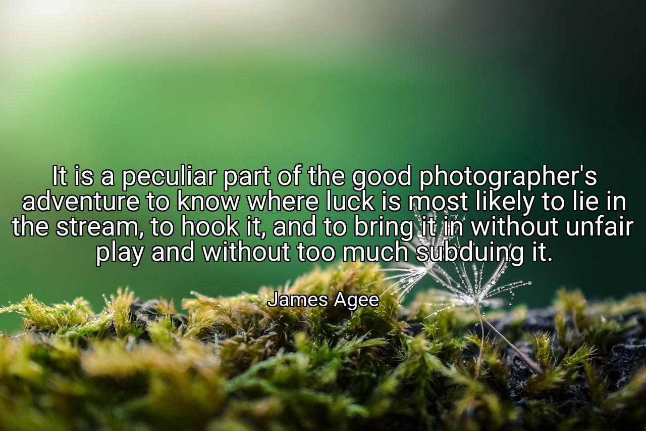 It is a peculiar part of the good photographer's adventure to know where luck is most likely to lie in the stream, to hook it, and to bring it in without unfair play and without too much subduing it. - James Agee