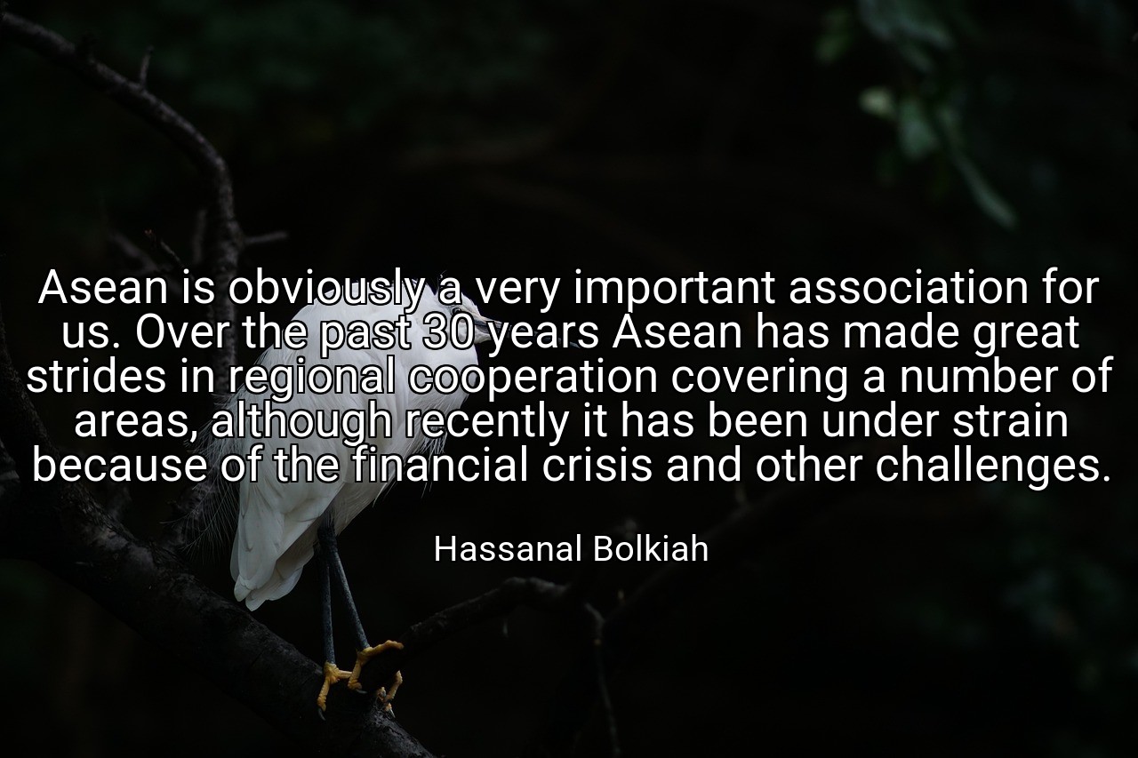 Asean is obviously a very important association for us. Over the past 30 years Asean has made great strides in regional cooperation covering a number of areas, although recently it has been under strain because of the financial crisis and other challenges. - Hassanal Bolkiah