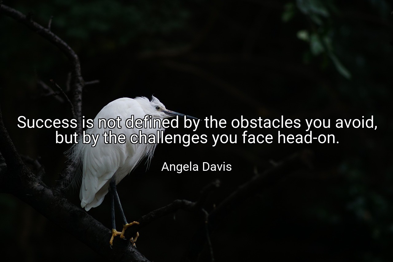 Success is not defined by the obstacles you avoid, but by the challenges you face head-on. - Angela Davis