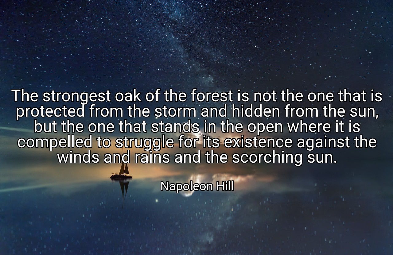 The strongest oak of the forest is not the one that is protected from the storm and hidden from the sun, but the one that stands in the open where it is compelled to struggle for its existence against the winds and rains and the scorching sun. - Napoleon Hill