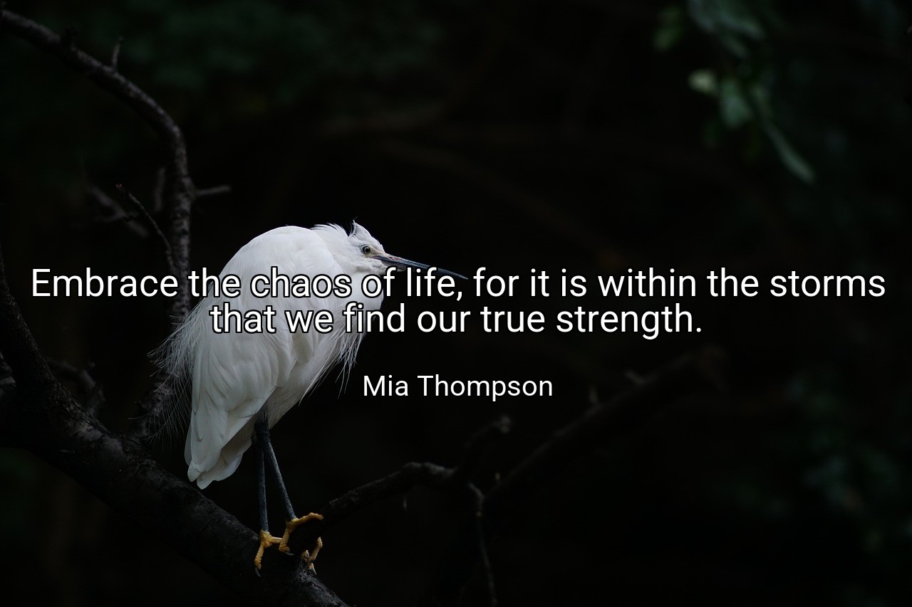 Embrace the chaos of life, for it is within the storms that we find our true strength. - Mia Thompson