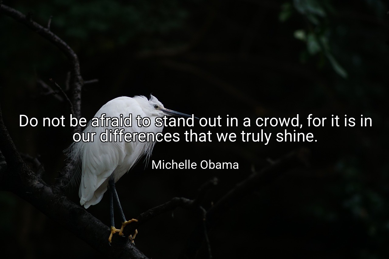 Do not be afraid to stand out in a crowd, for it is in our differences that we truly shine. - Michelle Obama